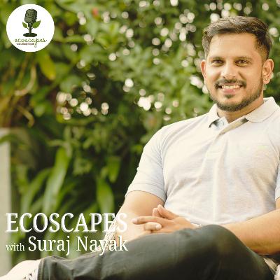 E7: Landscape & Mental Wellness