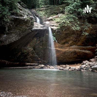 1637.1660.啄木鸟大夫的诊所