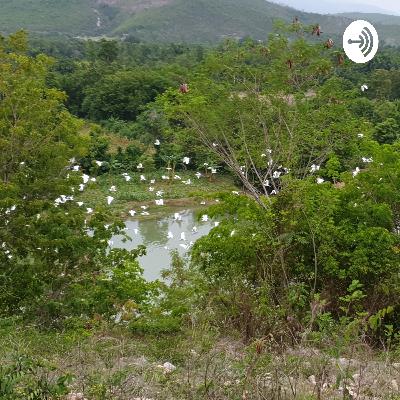 Episode number one chew on this senior live from Haiti