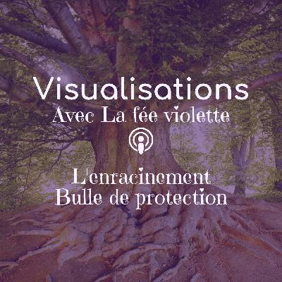 Visualisation 1 - L'enracinement et la bulle de protection