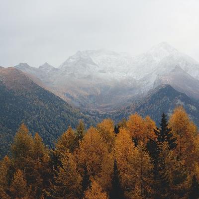 Sonidos Relajantes para ayudar a dormir. NATURALEZA Y MÚSICA DE PIANO