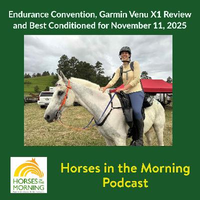 Endurance Convention, Garmin Venu X1 Review and Best Conditioned for November 11, 2025 Endurance Convention, Garmin Venu X1 Review and Best Conditioned for November 11, 2025