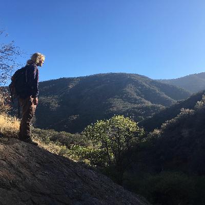 011: Ida Naughton: Part 2: Discovering the Channel Islands through the Fascinating World of Ants 011: Ida Naughton: Part 2: Discovering the Channel Islands through the Fascinating World of Ants
