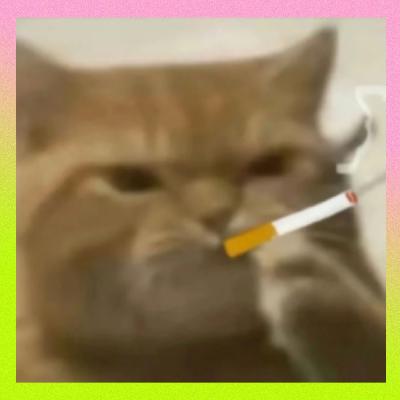 一本豆瓣8.5分的清朝医书，一个近代中医的最大贡献：活血化瘀