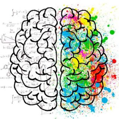 ¿Qué la inteligencia emocional?
