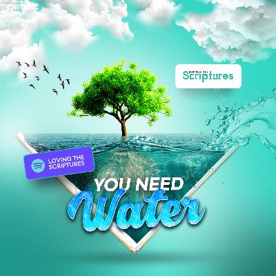 You Need Water You Need Water