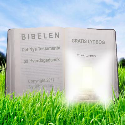 Åbenbaringsbogen (Bibelen - Lydbibel)