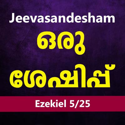 Malayalam Bible Study 884 Ezekiel 5 & 6 യെഹെസ്കേല് WRT India Jeevasandesham Malayalam Bible Study 884 Ezekiel 5 & 6 യെഹെസ്കേല് WRT India Jeevasandesham