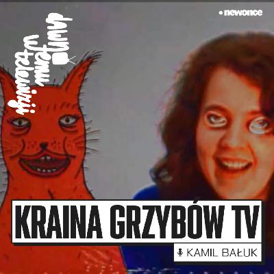 Trip bez fazy? Skąd się wzięła "Kraina Grzybów"? Trip bez fazy? Skąd się wzięła "Kraina Grzybów"?