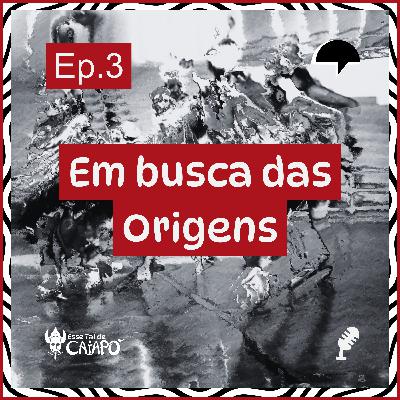 Episódio 3: Em busca das origens