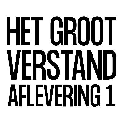 Aflevering 1 van Het Groot Verstand Aflevering 1 van Het Groot Verstand