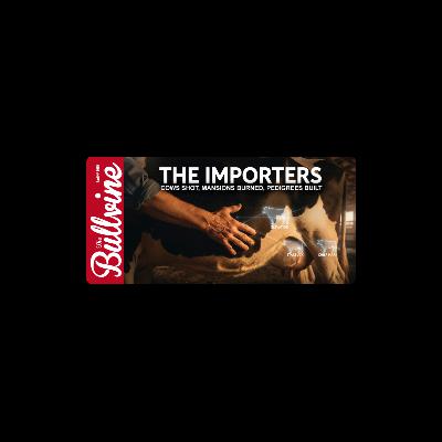 E529 The Importers: Cows Shot, Mansions Burned, Pedigrees Built E529 The Importers: Cows Shot, Mansions Burned, Pedigrees Built