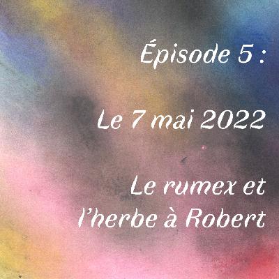 Épisode 5 : Le 7 mai 2022, Le rumex et l’herbe à Robert