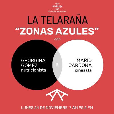 Zonas azules
