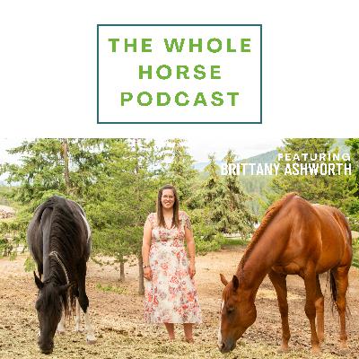 WH133 | Sacred contracts with horses and how to recognize them with Brittany Ashworth