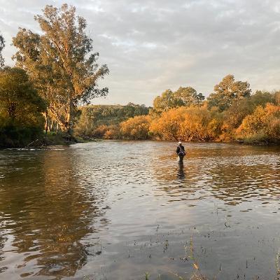 Late Season River Fishing with Philip Weigall Late Season River Fishing with Philip Weigall