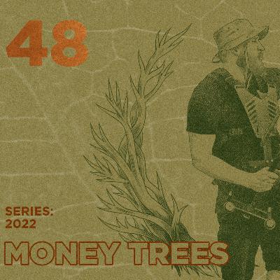 Money Trees #48 - Dnyce X Design Money Trees #48 - Dnyce X Design