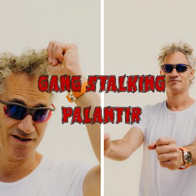 Patreon Preview – 434. Gang Stalking Palantir Patreon Preview – 434. Gang Stalking Palantir