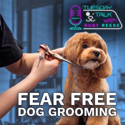 Fear Free Dog Grooming