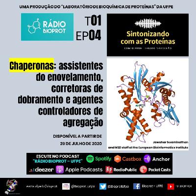 SINTONIZANDO COM AS PROTEÍNAS - Chaperonas: assistentes do enovelamento, corretoras de dobramento...