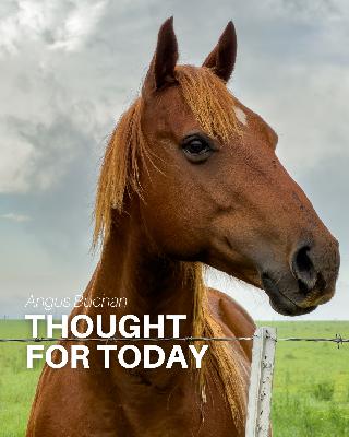 Think Before You Speak