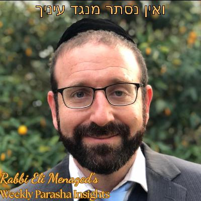 Beshalach 5786 - Addendum to In the Water on Dry Land and Reverse - The Beracha of Roka Haaretz Beshalach 5786 - Addendum to In the Water on Dry Land and Reverse - The Beracha of Roka Haaretz