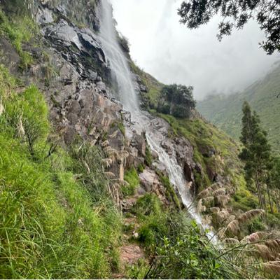Yoga Nidra para transformar hábitos limitantes