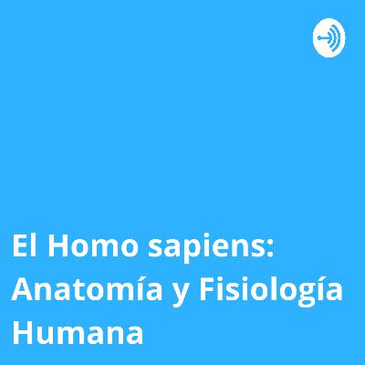 El Homo sapiens: Anatomía y Fisiología Humana (Trailer)