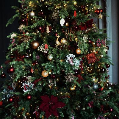 5B IS IT A BRANCH? NICK HAMMAN'S CHRISTMAS TREE (15 DECEMBER 25)