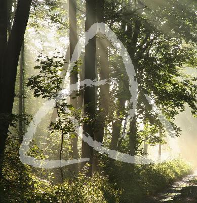 2 Thessalonians 1:1-4