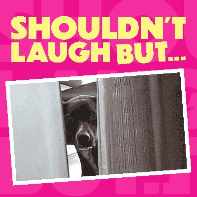 Autumn Vibes, Karens & Spy Dog Autumn Vibes, Karens & Spy Dog