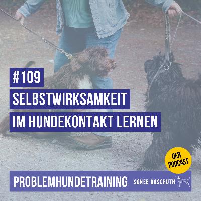 Selbstwirksamkeit im Hundekontakt lernen Selbstwirksamkeit im Hundekontakt lernen
