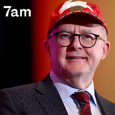 Is Albanese pressuring Labor to keep quiet on gambling?