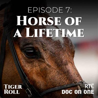 Episode 7: Horse of a Lifetime