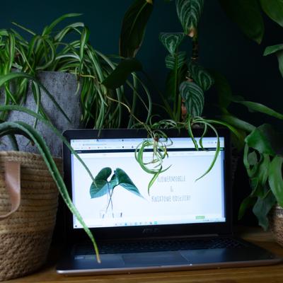 WebFloraPolska #3 #polskipodcast WebFloraPolska #3 #polskipodcast