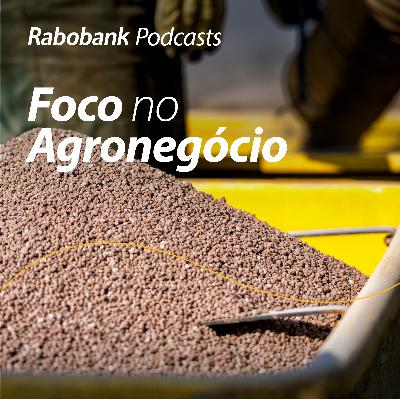 Perspectivas 2026 | Insumos