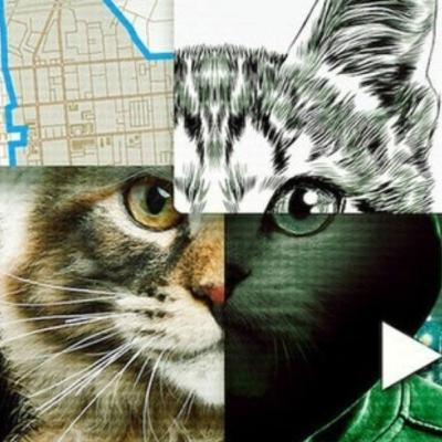 Casting The Net Episode 142: Don't F*** With Cats