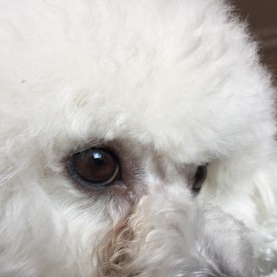 跟读）谈论电视/节目的10个常用语（1）Is there anything good on? channel, remote