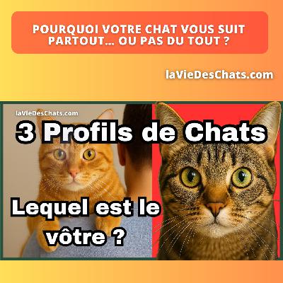 POURQUOI VOTRE CHAT VOUS SUIT PARTOUT ... OU PAS DU TOUT ?