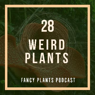 28. Weird Plants