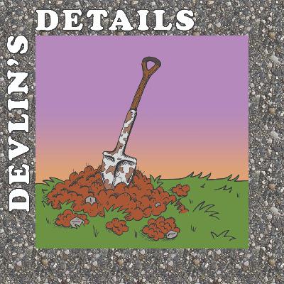 2.4 Devlin's Details 2.4 Devlin's Details