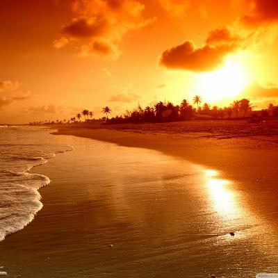 Day Sessions Vol. 14