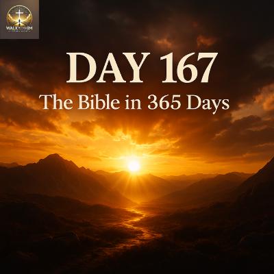 Day 167 - The Bible in 365 Days