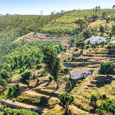 Caminantes - Monchique - 13/11/24 Caminantes - Monchique - 13/11/24