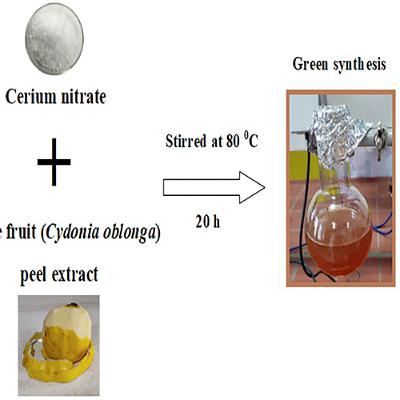 Eco-Friendly Nanoparticles Improve Cidofovir’s Anticancer and Antiviral Effects