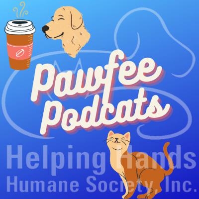 From Volunteer to Volunteer Coordinator (and Back)