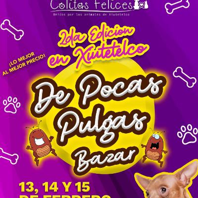 Foro Anime: Entrevista Colitas Felices