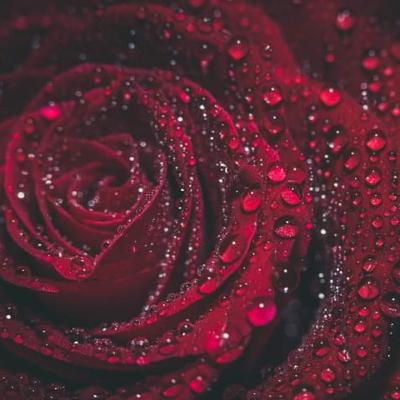 Self Love: How Does It Work?