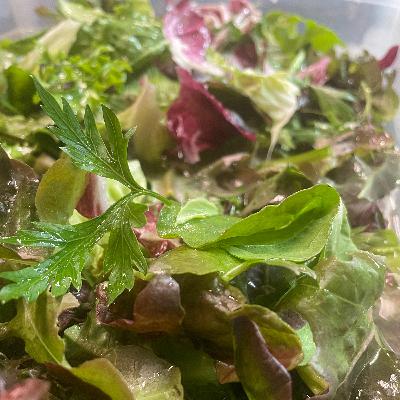 #34 野菜が出てきて嬉しいです！