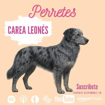 Ep96: Carea leonés